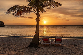 pláž, západ slunce, palma, pobřeží, dovolená, ráj, ostrov, curacao, karibský, palmtree