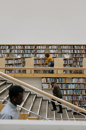 public library, bookshelves, individuals exploring, modern library, staircase, reading, book collection, spacious library, library setting, people in library, library interior