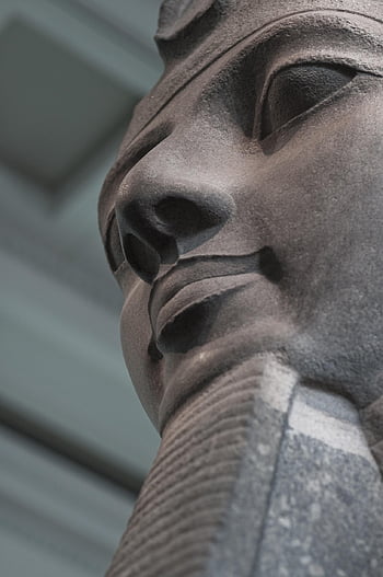 egyptský, sochařství, ramses, faraon, sobek, horus, historický, socha, starověké, kultura, antický