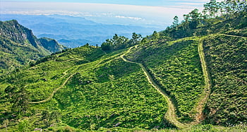 Čertovo schodiště, pozadí oblohy, hd tapetu, Pohoří Srí Lanka, Srí Lanka Tea Estate, kopec, vrchol, Skála, scenérie, les, scénický