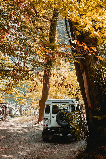 4x4 vehicle, white jeep, autumn forest, fall colors, scenic trail, tree, forest trail, vibrant colors, off-road vehicle, nature, outdoor adventure