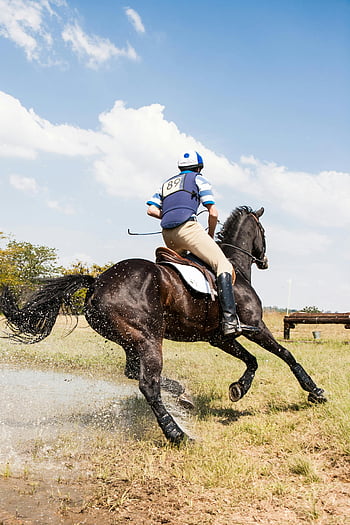 equitazione, all'aperto, cavaliere equestre, il salto del cavallo, ostacolo d'acqua, concorrenza, velocità, agilità, Cavaliere abile, competizione all'aperto, sport equestre
