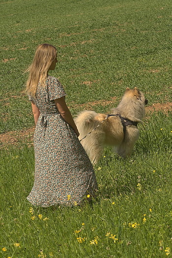 woman, dog, out For A Walk, pet, meadow, nature, animal, dirt Road, landscape, grass, field