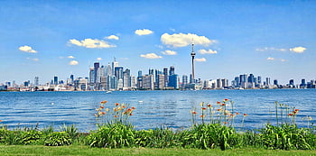 cn toren, Toronto skyline, heldere blauwe lucht, zicht op het water, prachtig uitzicht, stadsgezicht, Stedelijk landschap, toronto van de binnenstad, Lakefront landschap, moderne stad, wolkenkrabbers