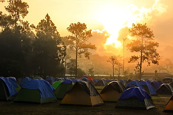 kamp, het bos, tent, natuur, de zon komt op, vroege morgen, avontuur, camping, buitenshuis, reizen, landschap