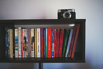 raft negru din lemn, camera neagra, Cărți vibrante, bine aranjat, camera clasică, raft de cărți, cameră deasupra, colecție de cărți, decor interior, lectură colț, Decor de raft