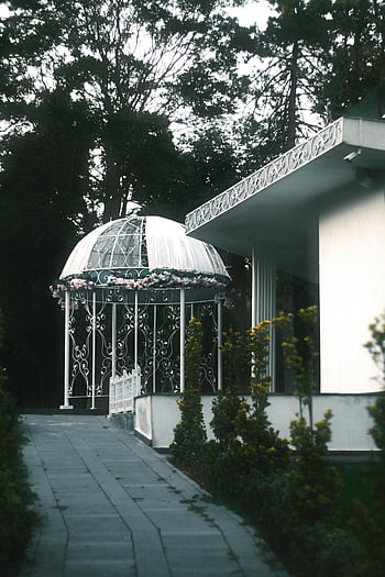 white gazebo, lush greenery, serene garden, picturesque scene, outdoor structure, decorative gazebo, garden setting, white architecture, ornate design, peaceful environment, floral decorations