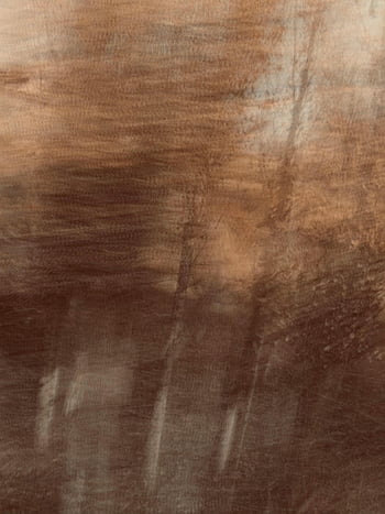 trees in blur, soft motion blur, autumn trees, abstract image, warm-toned image, motion blur photography, abstract nature, warm colors, blurred trees, autumn foliage, abstract photography