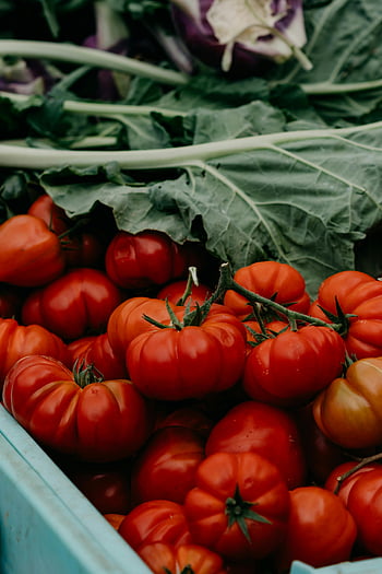 red tomatoes, crate, ripe tomatoes, leafy greens, market setting, organic freshness, fresh produce, vegetables, healthy food, natural ingredients, farm-to-table