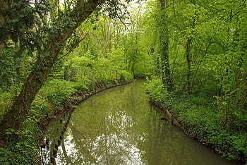 fließen, Wasser, Landschaft, szenisch, Grün, Bäume, kann, ruhig, Idylle, Natur, Stille