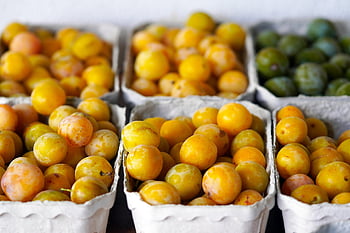 fruit, mirabelle Plum, market, harvest, healthy, cherry Plum
