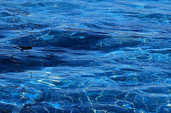 acqua, increspature, onda, natura, riflessione, piscina, blu, acqua pulita