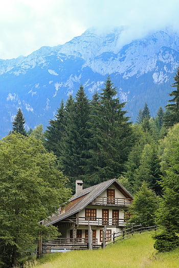 vila, hory, stromy, jehličnany, jehličnatý, jehličnatého lesa, Alpy, vysokohorský, horská chata, Dům, Domov