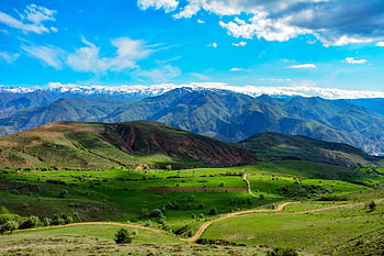 Příroda, květ, louka, jaro, krásné květiny, tráva, zelená, flóra, modrá obloha, strom, ahlat