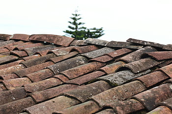 brown roof shingles, selective focus, rustic clay shingles, weathered shingles, clear sky, Puebla Mexico, close-up view, roof tiles, architectural detail, outdoor scene, traditional roofing
