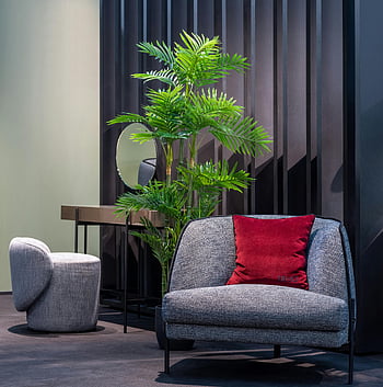 lish room, comfortable furniture, potted plant, modern interior, chic furniture, lush green plant, contemporary design, living room decor, indoor plants, home decor, red cushion