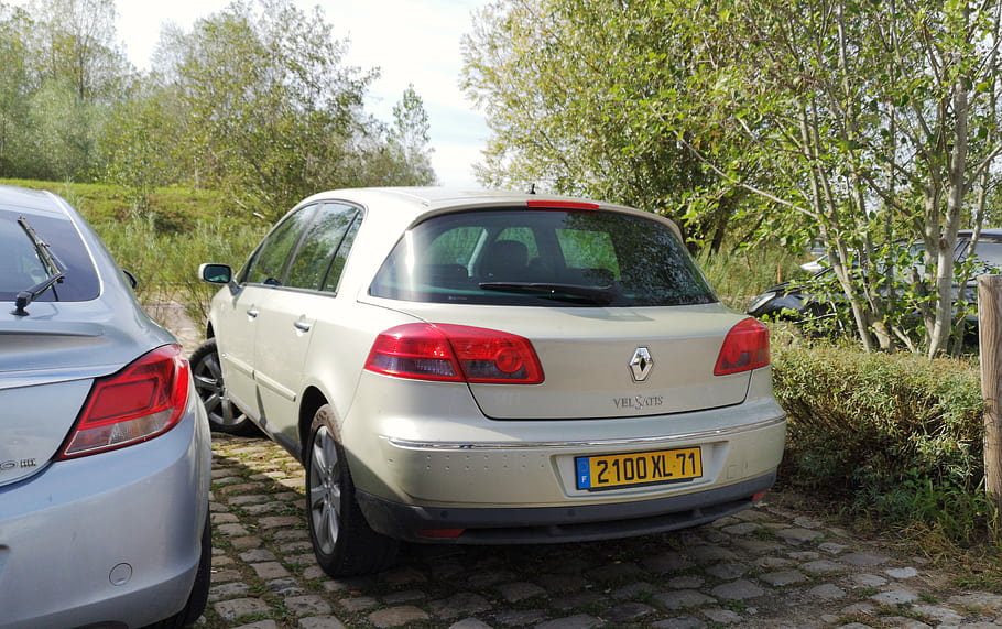 Renault, Vel Satis, car, rear view, license plate, trees, parked, outdoors, vehicle, sedan, France