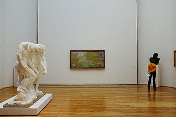 Museo d'Arte, visitatore, sculture, dipinti, vista posteriore, persona in piedi, visita medica, Galleria interna, pavimento di legno, muri bianchi, esposizione di opere d'arte