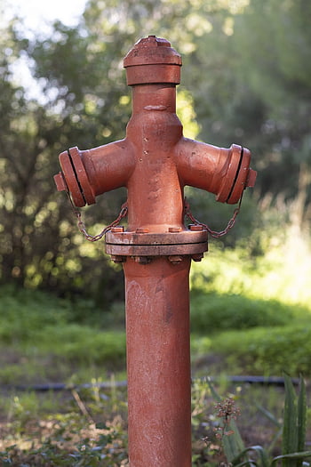 fire Hydrant, faucet, red, daniel, emergency, protect, fire, flame, hot, cooling, valve