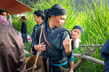 Asian female, cotton picker, carrying baby, rural landscape, farming activities, mother and child, lush landscape, traditional clothing, outdoor work, cultural scene, agricultural setting