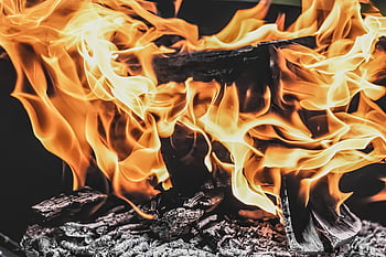 Φωτιά, φλόγες, χρήματα, ξύλο, έγκαυμα, ζεστασιά, ζεστό, φλόγα, φως, θερμότητα, λάμψη