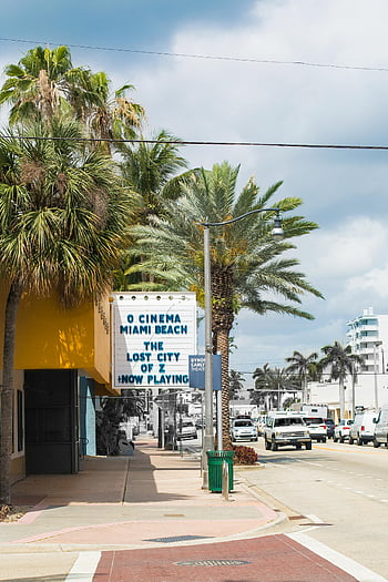 palm trees, yellow establishment, O Cinema, Miami Beach, street view, vibrant, clear sky, cinema sign, tropical, urban scene, outdoor setting