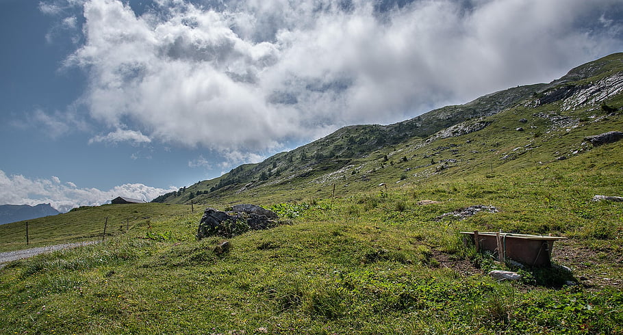 อัลไพน์, ทุ่งเลี้ยงสัตว์, Valais, ประเทศสวิสเซอร์แลนด์, ภูเขาแอลป์, ภูเขา, ภูมิประเทศ, ธรรมชาติ, แดดจัด