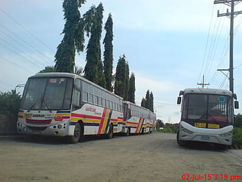 Magicline Express, Mayamy Trans, SJDM, hospoda, Del Monte Motors, isuzu, autobus, Filipíny, PBPA, Asociace fotografů filipínských autobusů, Zlatý drak