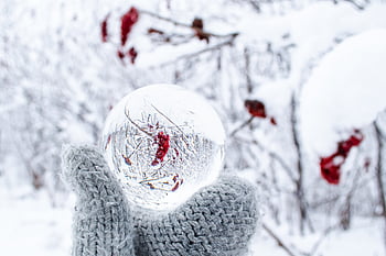 crystal, lens, ball, winter, snow, reflection, cold, ice, freezing, nature, outdoors