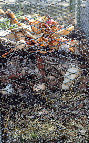 compost, grid, garden Waste, vegetable Waste, sustainable, circular Economy, egg Shells, kitchen Waste, layers, compost Layers, rotting