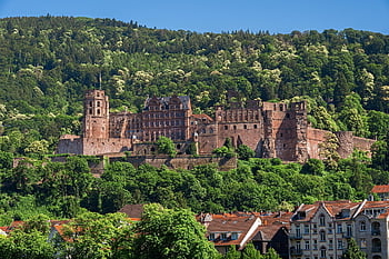 heidelberg, heidelberger schloss, historisch, Gebäude, zugrunde richten, Festung, historisches Zentrum, Fassade, Landschaft, Reisen, baden würtemberg