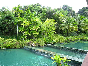 bazénová vila, Thajsko, phuket, letovisko, oceán, cestovat, cestovní ruch, pláž, Asie, Příroda, dovolená