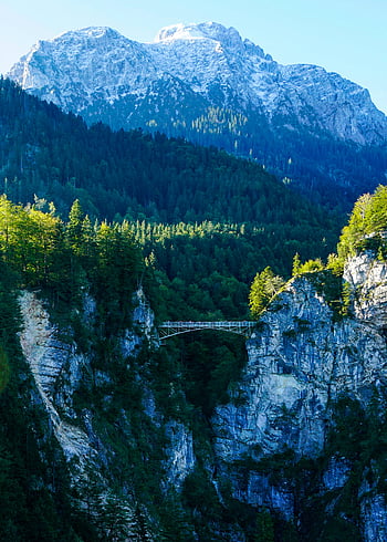 pohoří, zelené stromy, pohled, hornatý les, krajina, letní, Přírodní krásy, venkovní scenérie, alpské pohled, zalesněné hory