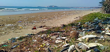 pollution, trash, garbage, ocean, plastic, waste, environment, beach, tropics, vietnam, muine