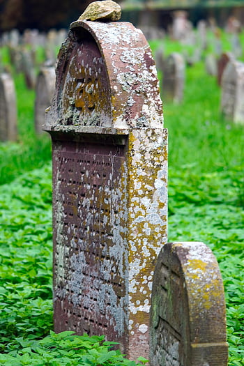 cimitero ebraico, lapidi, cimitero, tombe