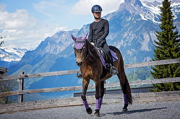 kůň, dívka, lekce jízdy na koni, poník, jezdecký poník, Příroda, jezdecký, koňský, zvíře, hnědý kůň, Pony Ride