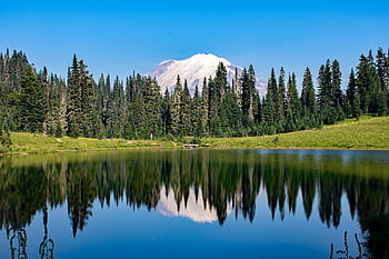 lake, trees, nature, forest, cascade Mountains, mount Rainier, tipsoo Lake, washington State, alpine, scenic