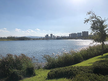 sejong, city, sejong City, day, sunny Weather, nice Weather, korea, lake Park, lake, park, hill