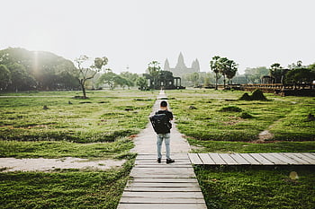 angkor wat, siem nyír, Kambodzsa, utazó, útvonal, buja növényzet, hátsó nézet, személy áll, zöld fű, fa út, templom komplexum
