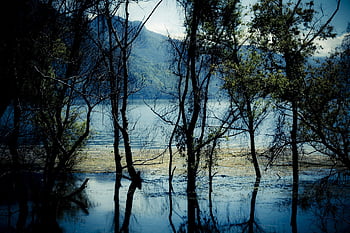atitlan, lake, guatemala, only The, landscape, peace, water, shore, travels, nature, navigation