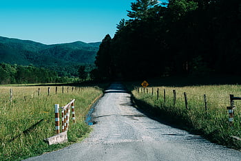 grusvej, landskabet, sommer, grønne, bjerge, lyse blå himmel, ideel sommerscene, landlige landskab, naturskøn udsigt, naturlige skønhed, udendørs scene