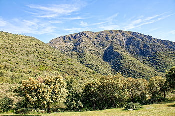 Spagna, andalusia, Provincia di Cadice, Palomano Puerto de Las, Sierra de Grazalema, Parco Naturale, paesaggio, montagne, collina, verde, nuvole