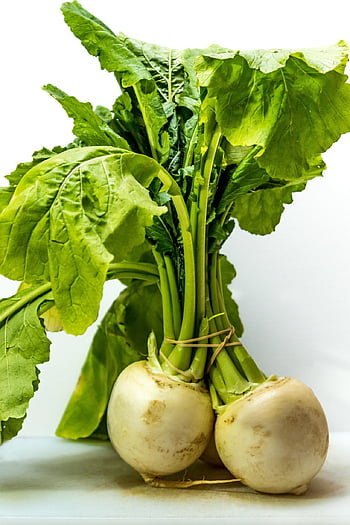 turnip, brassica Rapa Subsp, may Turnips, navette, vegetable Plant, edible Root, meal, food, nourishment, tasty, healthy