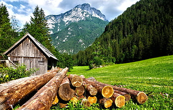 tronchi marroni, campo d'erba, cabina di legno, montagne lussureggianti, foresta, vista panoramica, paesaggio all'aperto, scena della natura, impostazione rurale, campagna, cumulo di legna
