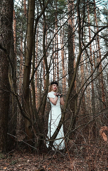 dark Forest, the Dense Forest, thicket, forest, gloomily, gothic, woman, queen, witch, crown, middle Ages