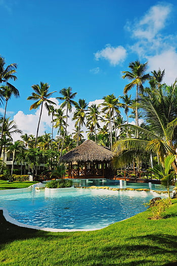 oáza, tyrkysový bazén, svěží dlaně, punta cana, tropický resort, relaxace, dovolená, resort bazén, palmy, došková chata, Karibský útěk