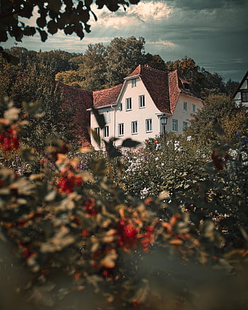hus, villa, gammel, truss, blomster, blomst baggrund, smukke blomster, plante, ejendom, arkitektur, bygning