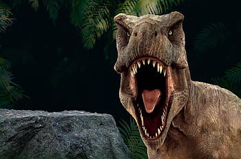 dinosaurio, tirano saurio Rex, naturaleza, animal, reptil, dino, carnívoro, depredador, tirano-saurio Rex, peligroso, jurásico