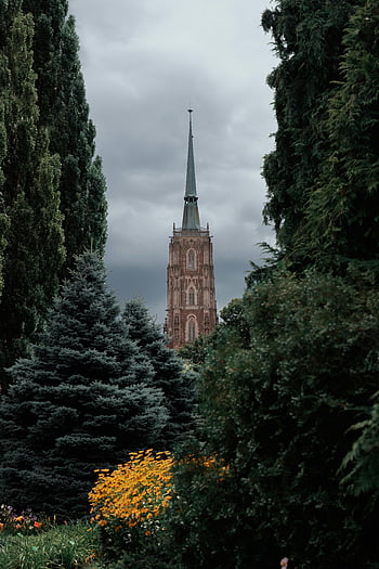 torre della chiesa, chiesa gotica, alberi lussureggianti, cielo nuvoloso, architettura gotica, edificio religioso, ambiente naturale, scena all'aperto, struttura storica, paesaggio sereno, punto di riferimento architettonico