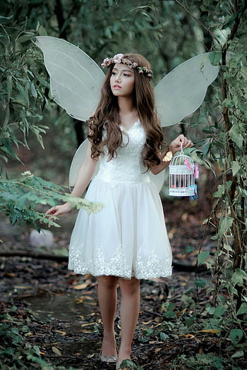 fairy, white dress, wings, mystical forest, decorative birdcage, woman in white, fairy costume, enchanted forest, fantasy photography, nature scene, floral crown